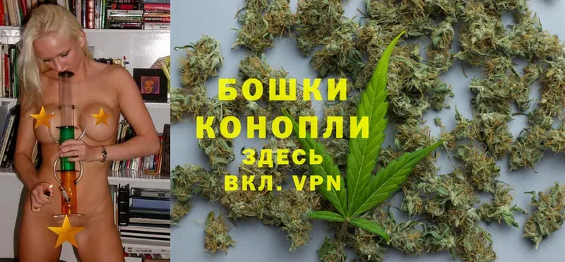 Бошки Шишки OG Kush  Новомичуринск 